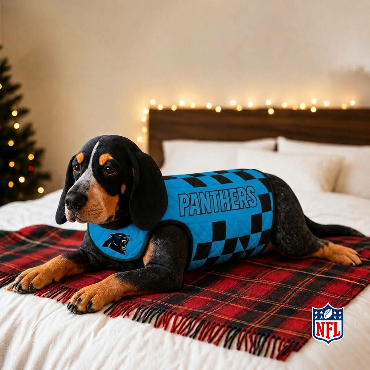 CHI x NFL LUXURIOUS PLUSH PILLOW