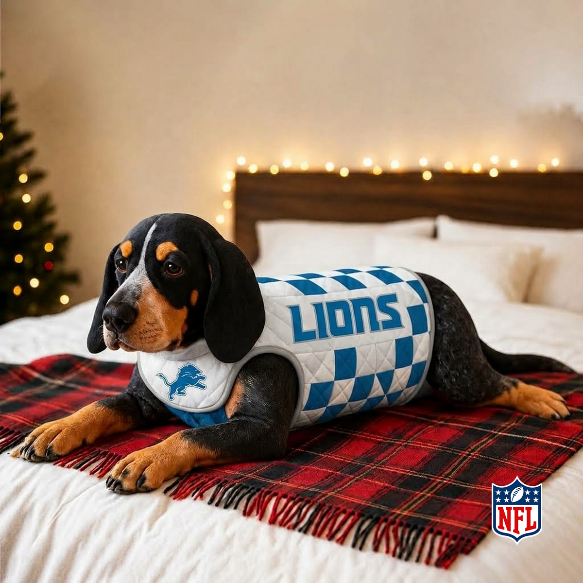 DET x NFL LUXURIOUS PLUSH PILLOW