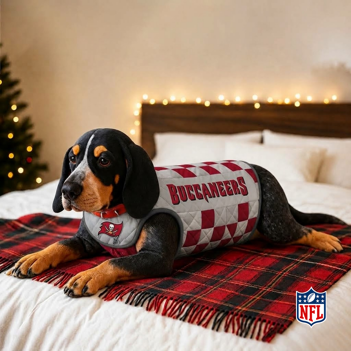 TB x NFL LUXURIOUS PLUSH PILLOW