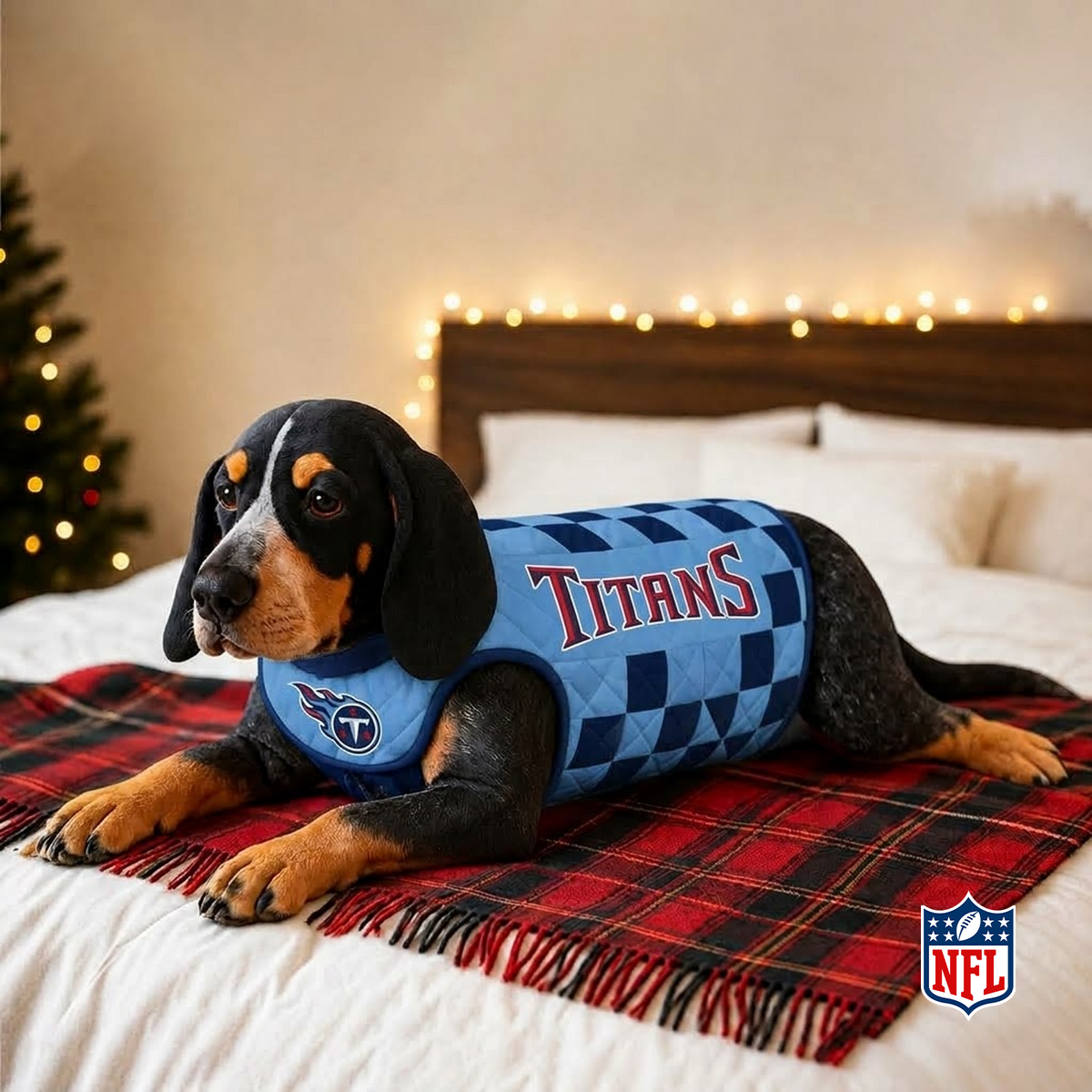 TEN x NFL LUXURIOUS PLUSH PILLOW