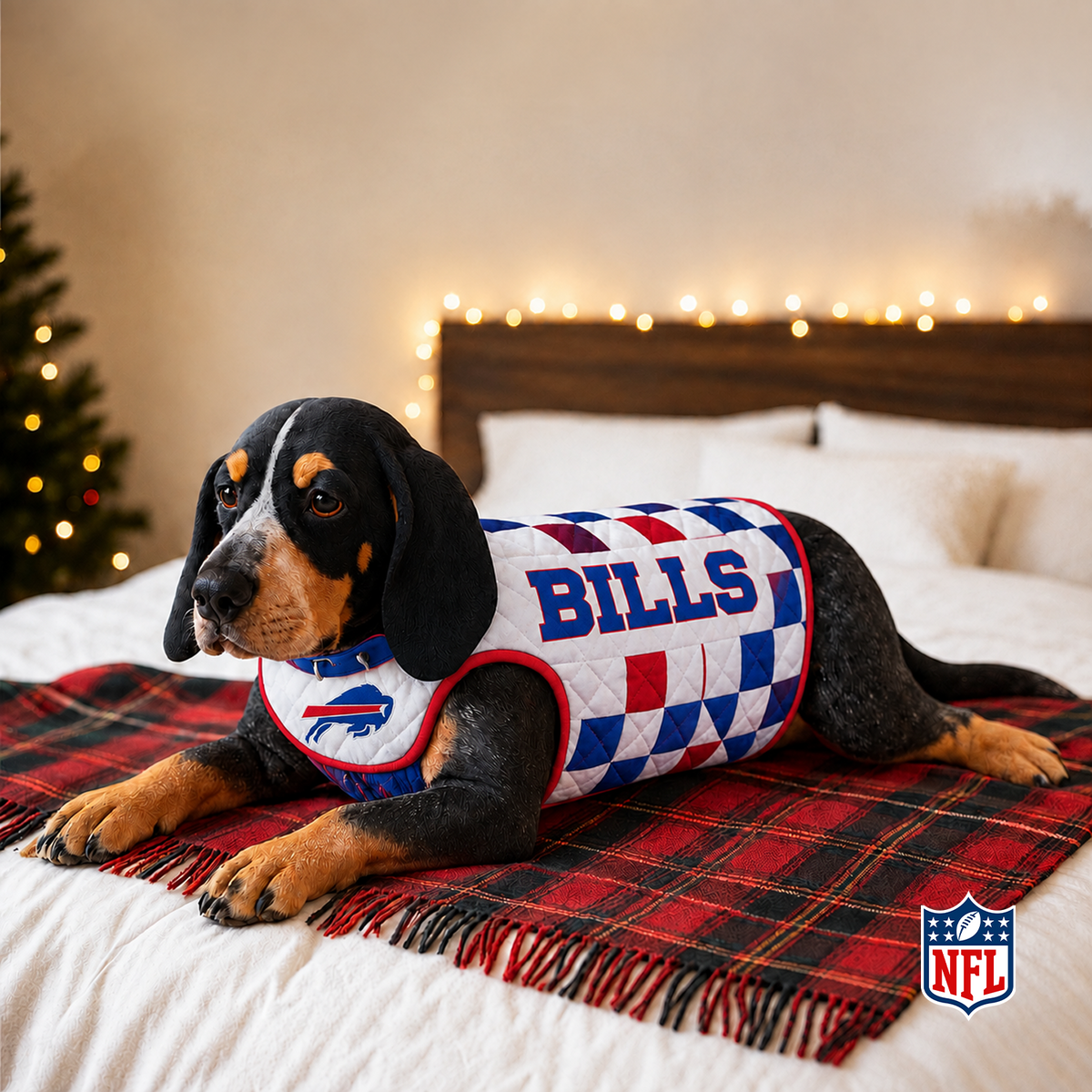 CAR x NFL LUXURIOUS PLUSH PILLOW
