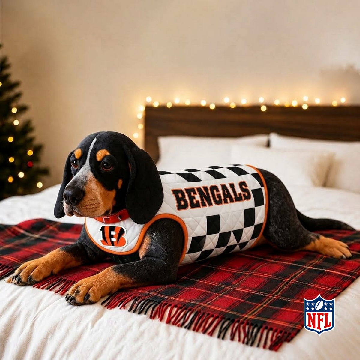 CLE x NFL LUXURIOUS PLUSH PILLOW