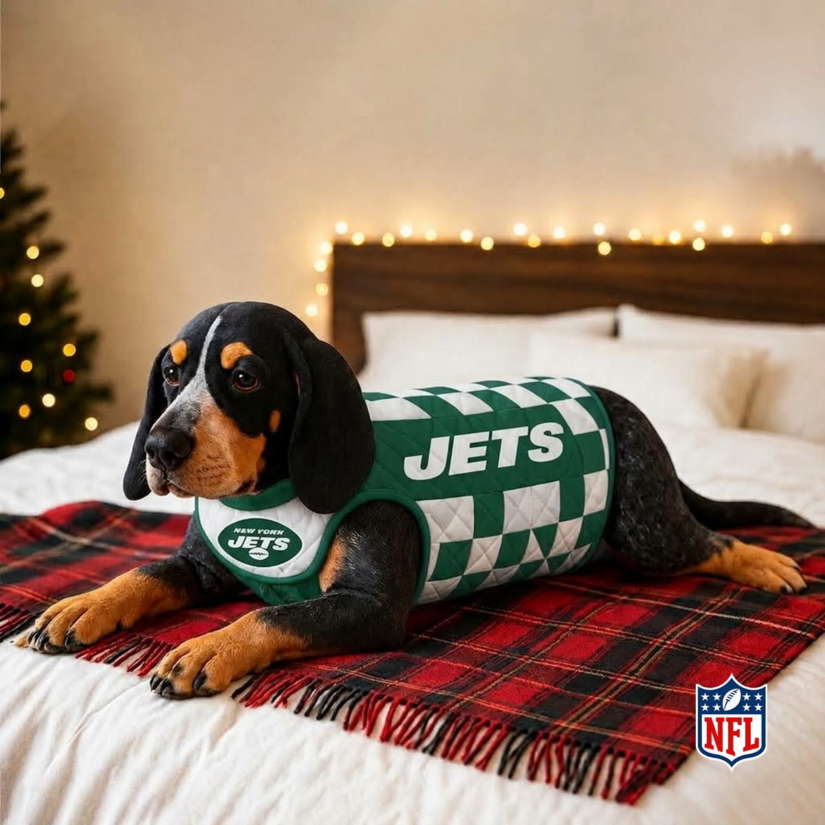 NYJ x NFL LUXURIOUS PLUSH PILLOW