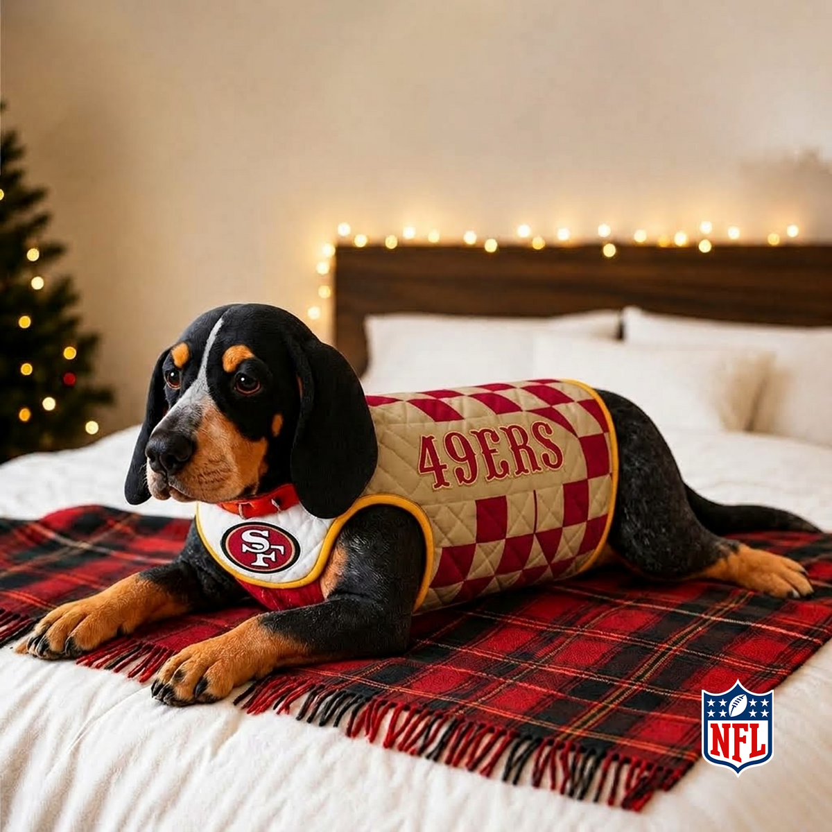 SF x NFL LUXURIOUS PLUSH PILLOW